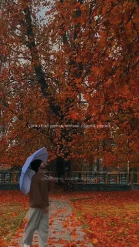 Kaybetmek hep acıtır ama en çok da içinden bir parçanı götürenler yakar canını. Onlar gittikten sonra aynaya bakarsın, tanıyamazsın kendini; gözlerinde başkasının bıraktığı boşluğu görürsün. Günler geçer, insanlar sorar ‘iyisin değil mi?’ diye, sen de başını sallarsın… Oysa içinden her gün biraz daha sessizleştiğini kimse bilmez. Çünkü bazı yaralar, sadece susarak yaşanır. - Asaf Eren TÜRKOĞLU  #asaferenturkoglu #şiir #siirabi #siir #anlamlısözler 