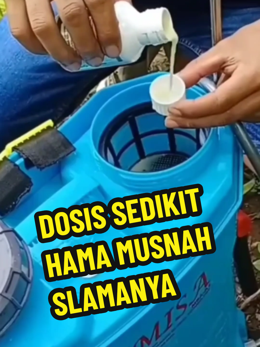cara menumpas hama tanaman agar cepat musnah #pestisida #tanamanbuah #caramenumpaspohonbesar 