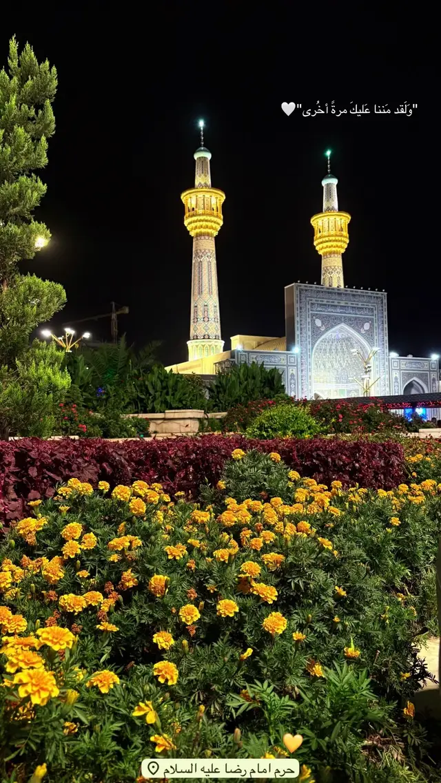 #ايران🇮🇷 #مشهد #العراق #اكسبلورexplore #كربلاء_المقدسة #photography 