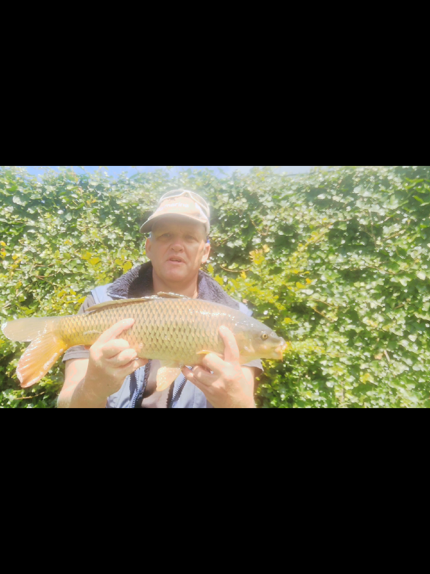Small but nice. #carp #fishing #loveyou #karper #tiktokviral 