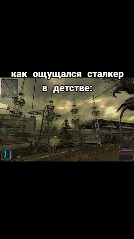 жуть... #stalkernuty #stalker #fyp #сталкер #atmosphere 