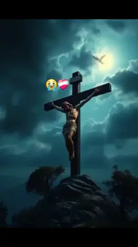 #creatorsearchinsights #🥺🙏 