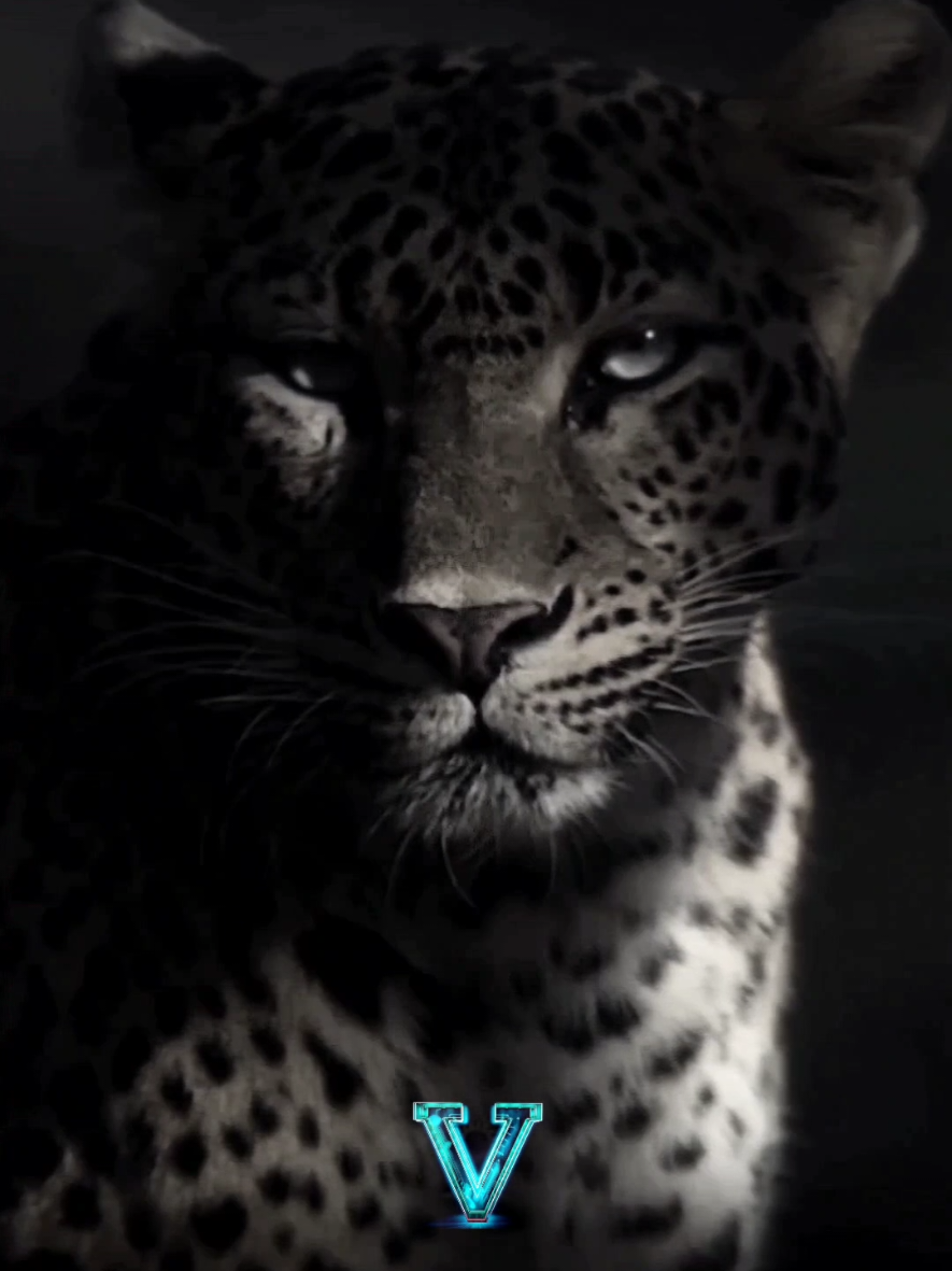 Ta force intérieure est plus grande que tes épreuves. #ForceIntérieure i #MotivationQuotidienne #discipline  #creatorsearchinsights 