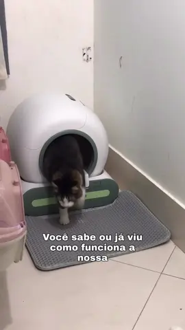 Transforme a rotina do seu pet com a nossa Caixa de Areia Automática da NewPet 💕 ✨ Limpeza inteligente e automática – nunca mais se preocupe em recolher resíduos manualmente. ✨ Neutralização de odores por íons – sua casa sempre fresca e livre de cheiros desagradáveis. ✨ Controle remoto pelo app – configure e acompanhe tudo na palma da mão. Mais do que praticidade, a NewPet é um investimento em qualidade de vida para você e para o seu gato.💘 E o melhor: nosso site está com 10% OFF por tempo limitado!❤️‍🔥 👉 Comente EU QUERO e enviaremos o link exclusivo para garantir o seu desconto. #gatos #fy #gatinhos #caixadeareia #newpet 
