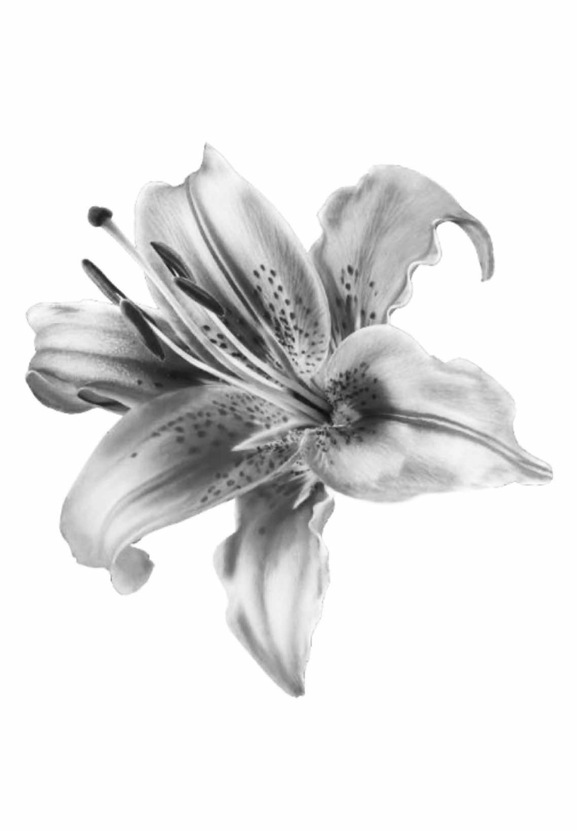 🤧 #themarias #lyricsvideo #foryou #fyp #tipografia 