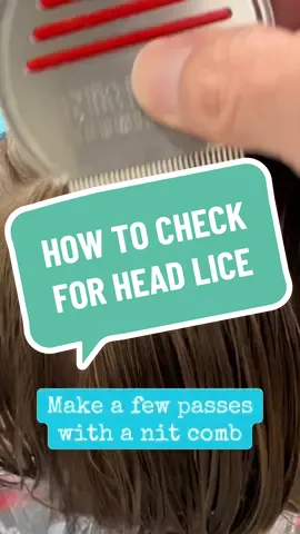 Get into the habit of checking your children for lice at least once a month. #lice #licetreatment #licecenterswi #licetok #fyp 
