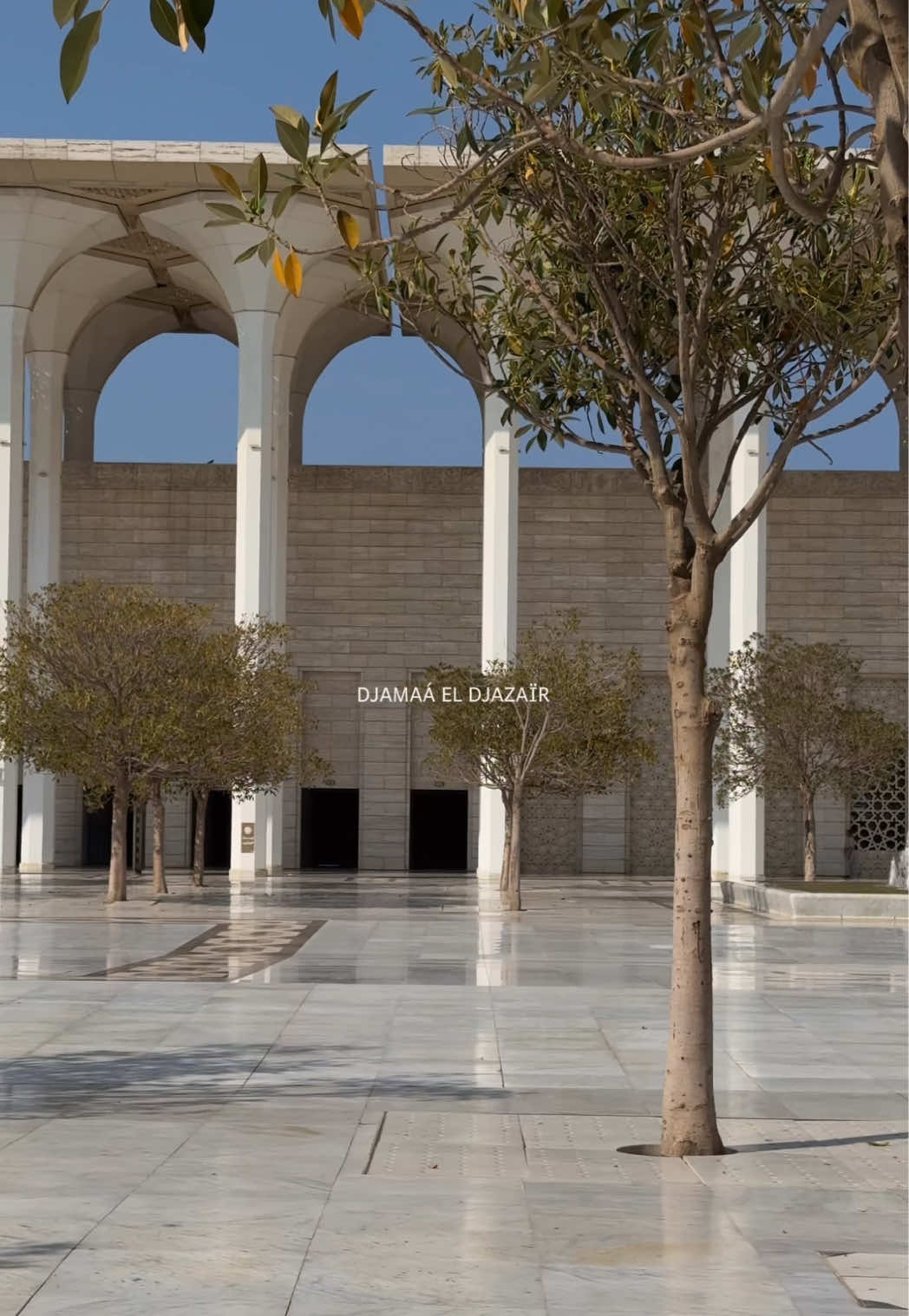 La grande mosquée d’alger 🕌🇩🇿  #mosque #alger #lagrandemosqueedalger #fypツviral 