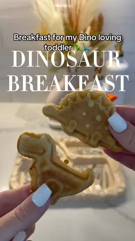 He absolutely loved it!!  ❤️🥰 #dinosaur #dinolovers #toddlermom #toddlerlife #pickyeater 