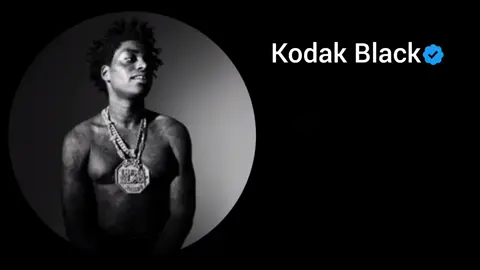 Super Gremlin- Kodak Black  #kodakblack #fyp #song #lyrics 