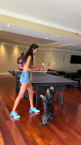 Can you return my serve? 🏓Labor Day special! 🤣 #pingpong #tabletennis #pingponggirl #탁구 #乒乓球 