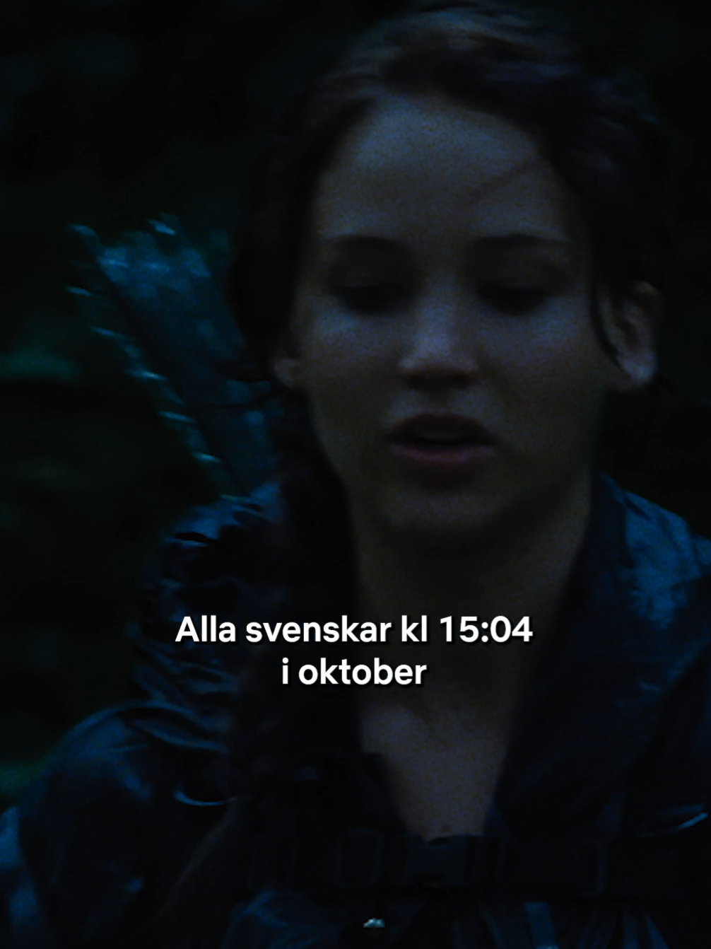 hejdå solen det var kul så länge det varade 🥀 #thehungergames #catchingfire #netflixsverige