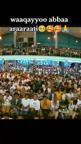 #waqayyoo_guddaadha📖🙇 @@Feben Tasafaye @@Feben Tasafaye 