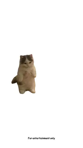 So who's your target? #cats #catanimation #explainedbycats #catsofttiktok #fyp 