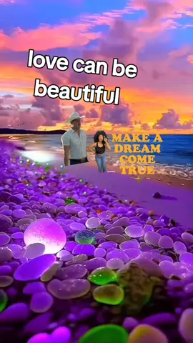 the wildside # make a dream come true 