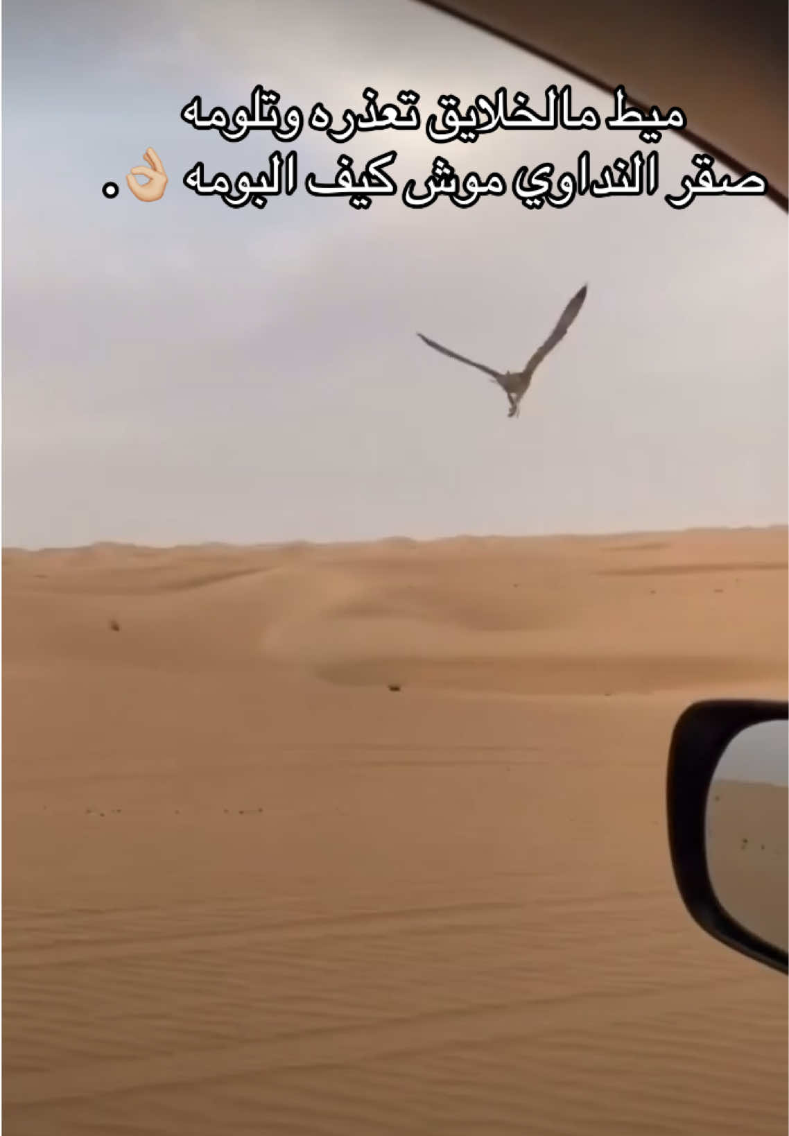 #البيضاء_الجبل_الاخضر #اليبضاء_شحات_بنغازي_درنه_مرتوبه_ليبيا #ليبيا🇱🇾 #الشعب_الصيني_ماله_حل😂😂 #انيس_الرعيدي @﮼عبـدالله،بوالرعيدي 🚸 .  @,ٍياسر Fais🥷🏻🖤. 