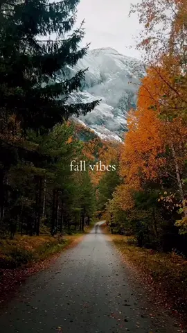 #autumn #fall #vibes 