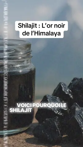 Le Shilajit, surnommé “le destructeur de faiblesse” en médecine ayurvédique, est une résine noire issue des roches de haute montagne. On le récolte à plus de 3 000 mètres d’altitude, là où la pression et les conditions extrêmes concentrent les nutriments. Ce concentré naturel contient plus de 80 minéraux, des acides fulviques et humiques, et des composés bioactifs qui ont traversé les siècles. Utilisé depuis l’Antiquité pour l’énergie, la vitalité, la mémoire, et la longévité. Un véritable trésor naturel… qui revient aujourd’hui sur le devant de la scène. #shilajit #shilajitresin #ayurveda #vitalité