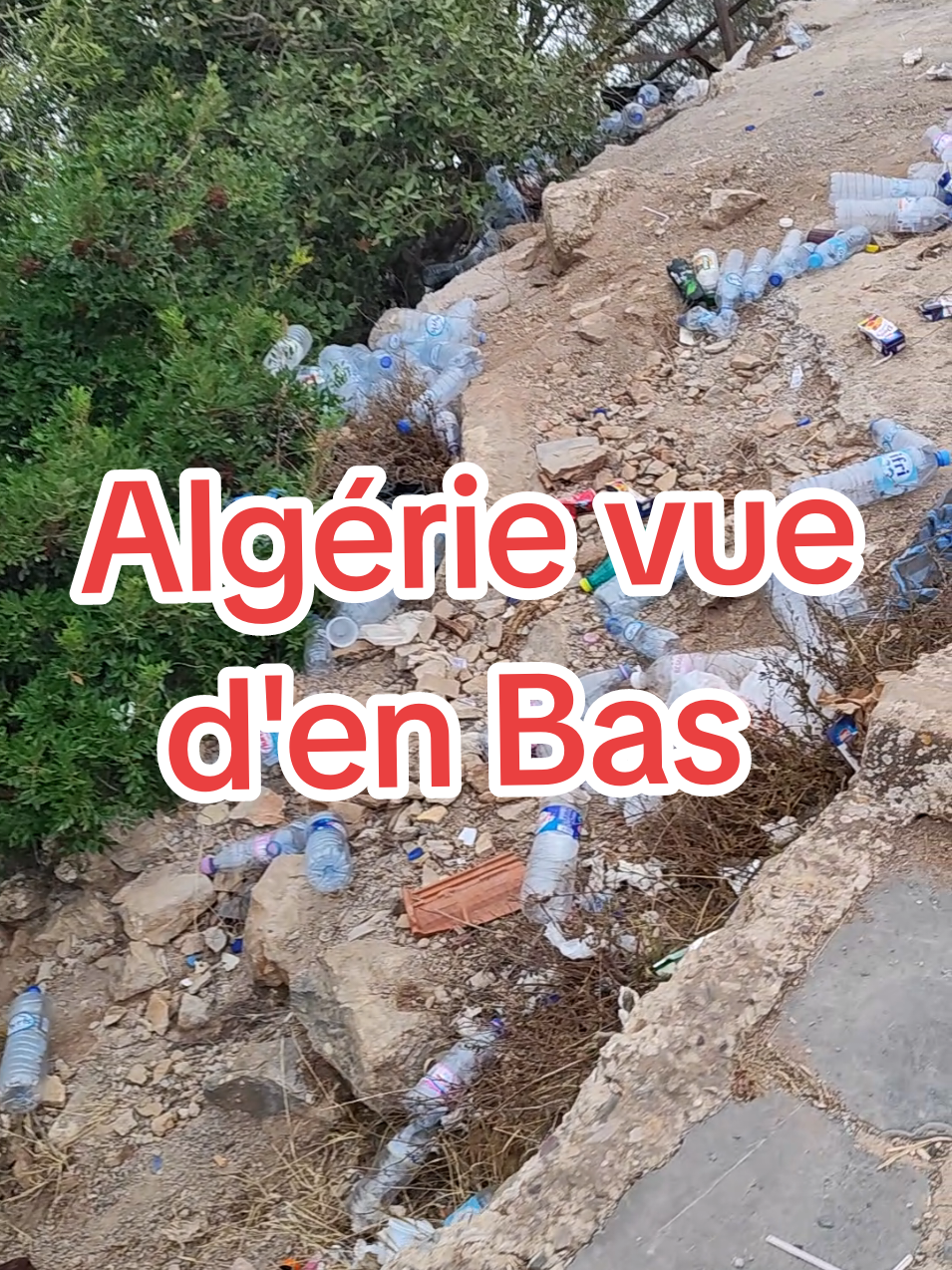 #Algerie #kabyle #France #tiziouzouⵣimazighen💛💚 #Bejaia 