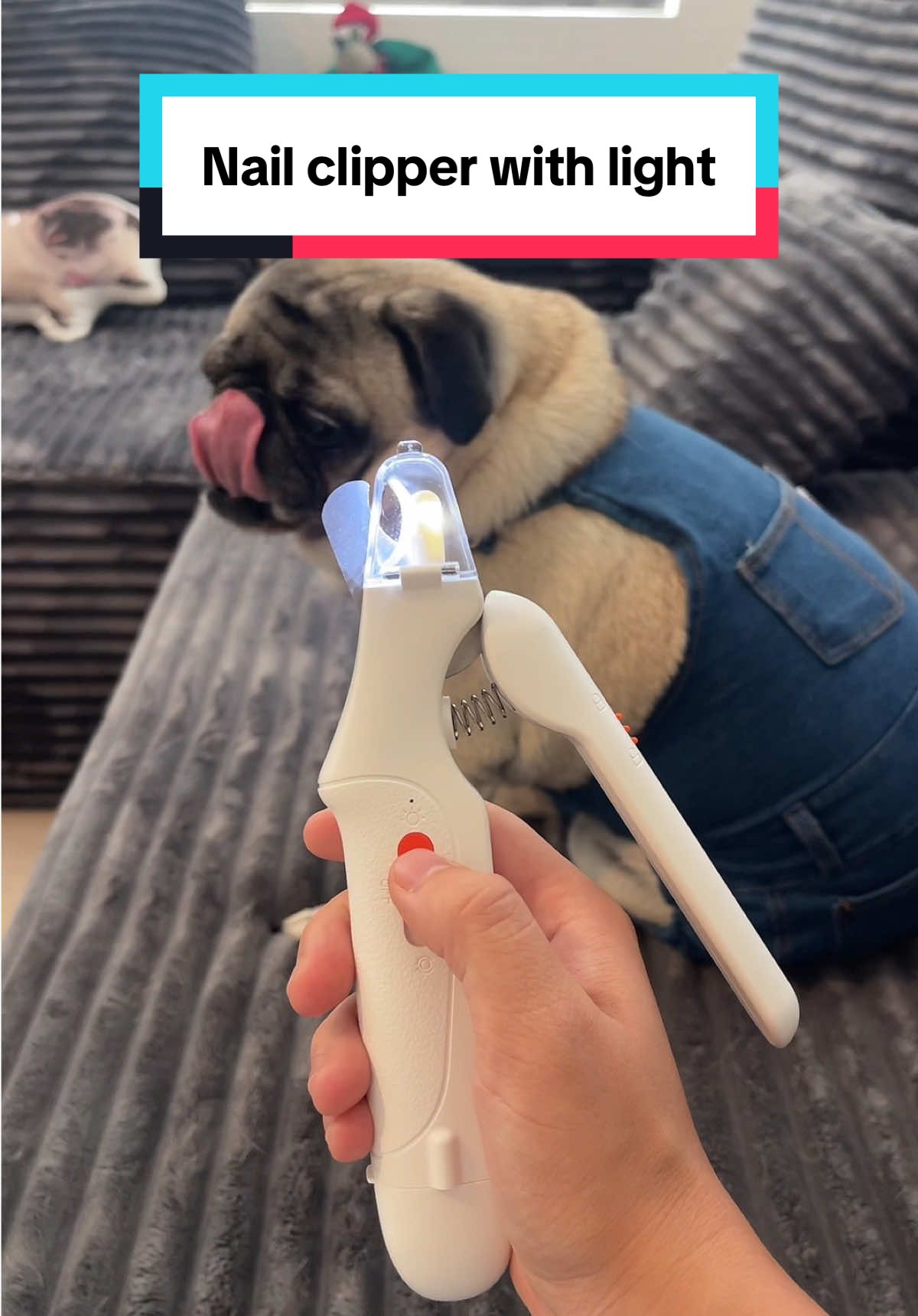 If you’re wondering how to cut your dog’s nails and not hit the quick/bloodline, the answer is a nail clipper with a built in light :) #dognailclipper #petnailclippers #nailclipperwithlight #doggrooming #nailclippingdogs 