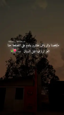 #fyupageシtiktokeviral 🍃❤  #viraltiktok #fyupageシ #vidéo #اقتباسات_عبارات_خواطر🖤🦋❤️ 