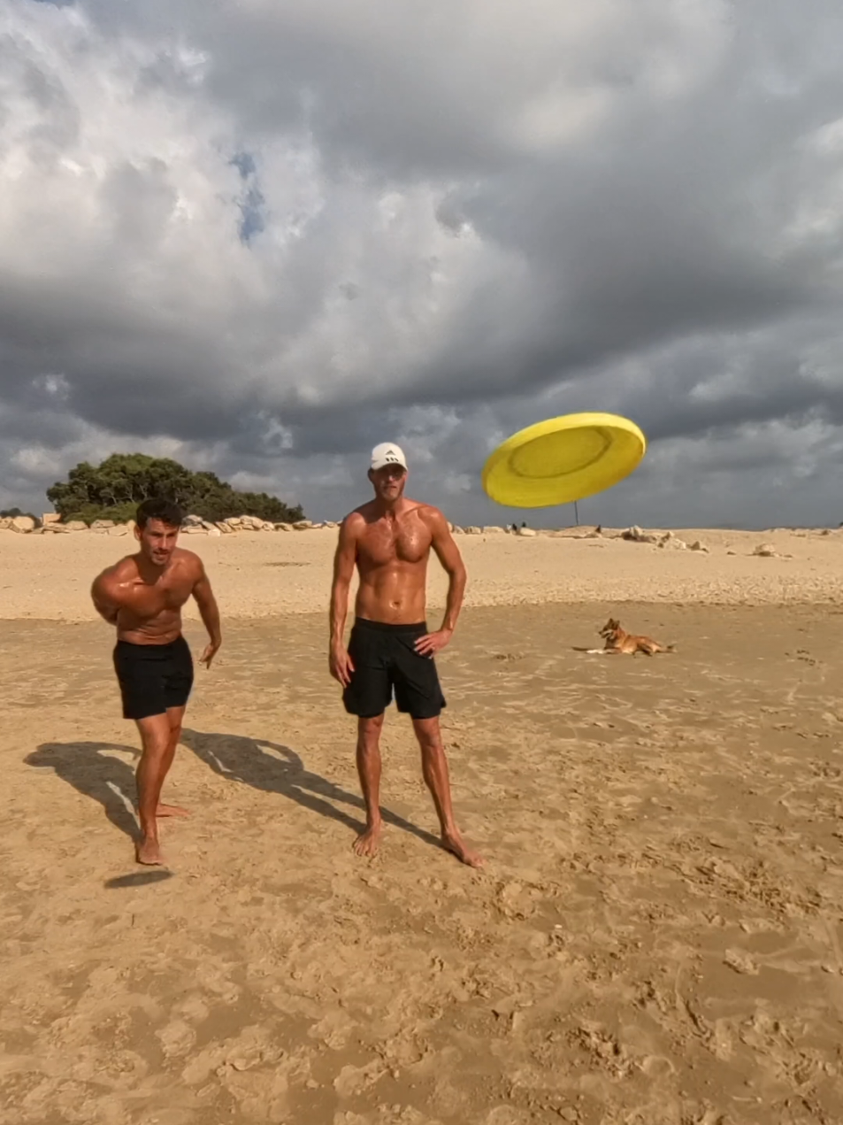 🪃🥏BOOMERANG FRISBEE!🥏🪃 - - -@🥏 The last disc bender  #boomerang #frisbee #skills #trickshot #sports 