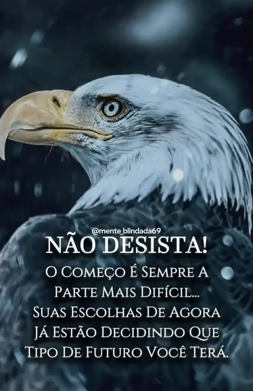 #motivaçao #motivacaodiaria #mente_blindada69  #motivaçãodesucesso  #motivacionalstatus