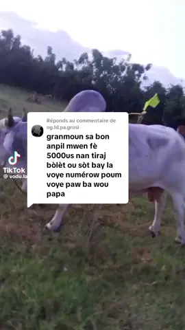 Réponse à @ng.ld.pa.grosi #viralvideos #vodoulakay #comedyindia 