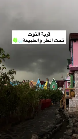 قرية التوت تحت المطر🌧️😍 #اكسبلور #قرية_التوت #اكسبلورexplore #ترند #الطائف 