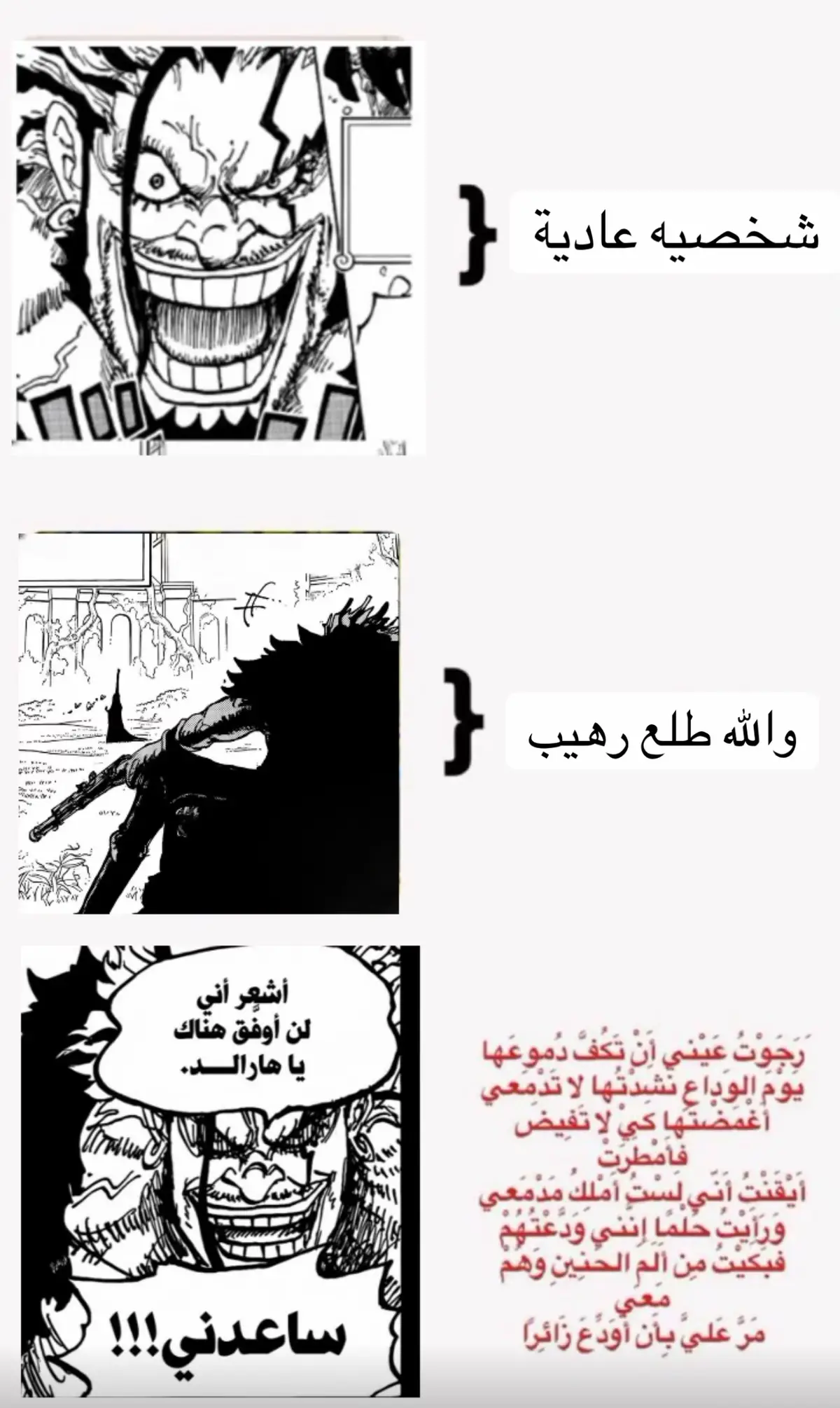 #روكس #زيبيك #ونبيس 