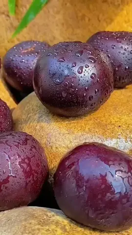 Enjoy Beautiful Dark Red Apple🍎(#Fruits #fyp #foryou #100k #vairal 