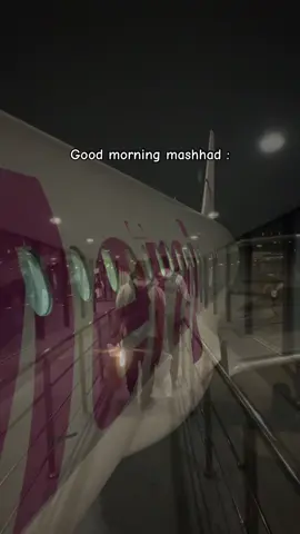 مشهد الرضا 🫀 #عليه_افضل_الصلاه_والسلام #مشهد #ايران #fyp 