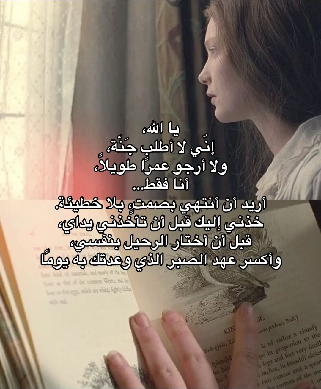 #foryou #fyp #explore #العراق #explorepage 
