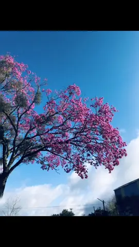 💘💘💘💘  #viral #foto #viralvideos #amor #viral 