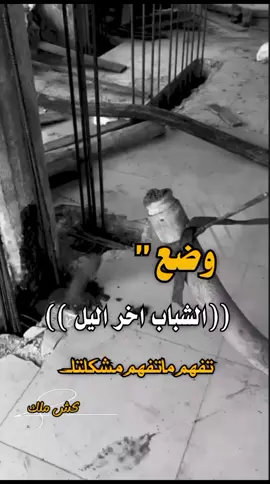 #عبارات #كـش_مـلك #تصميم_عبارات #تصميم_فيديوهات🎶🎤🎬تصميمي🔥 #اكسبلور #اعادة_النشر🔃 