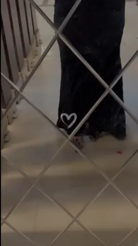 😉