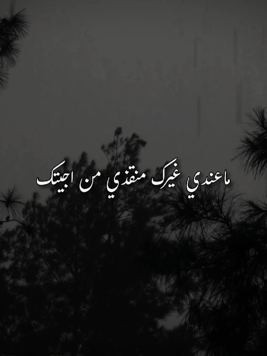 ماعندي غيرك.. . .#باسم_الكربلائي #قصائد #ستوريات_حسينيه #ياحسين #foryou 