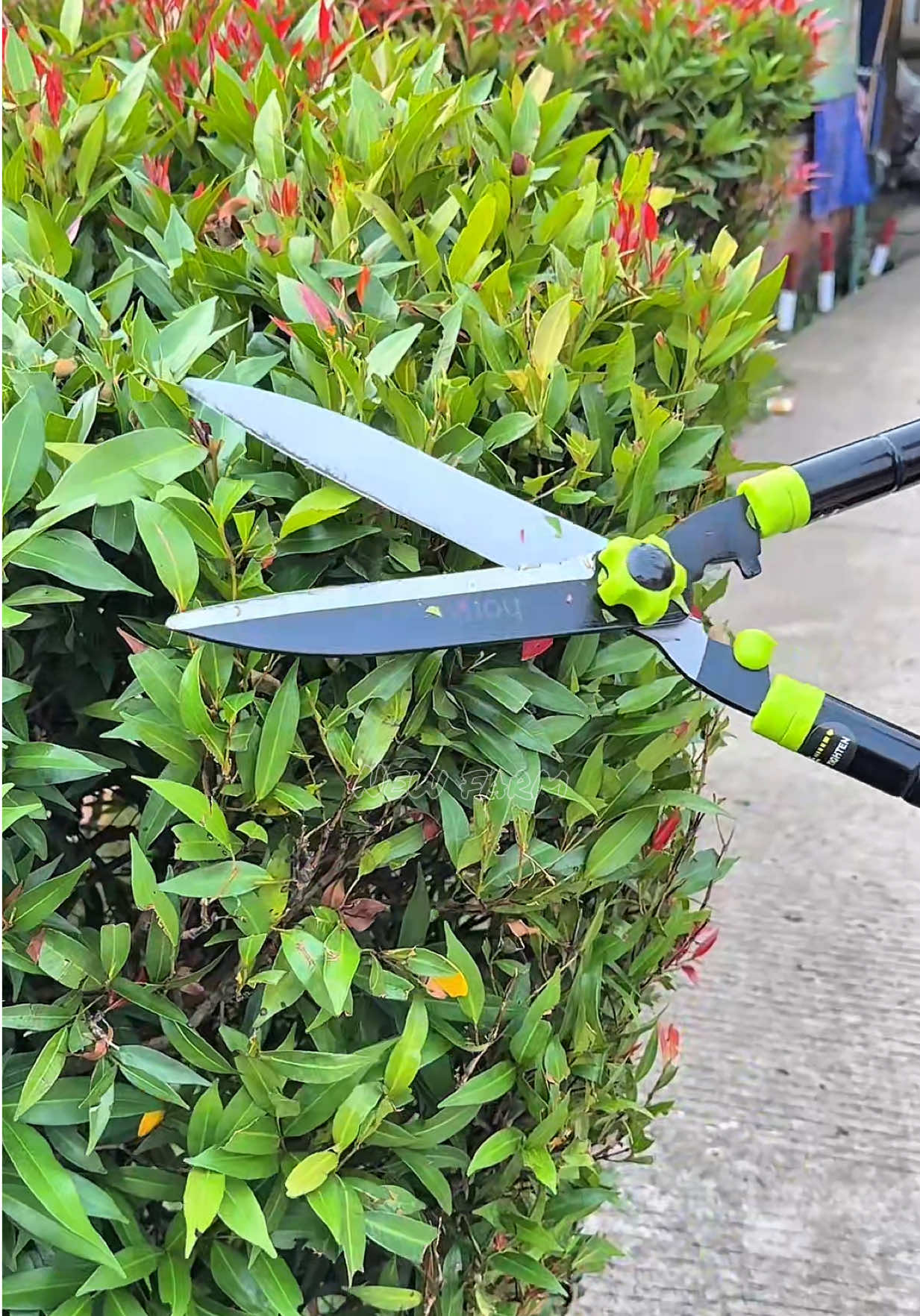 Gunting taman / gunting pemotong rumput tajam