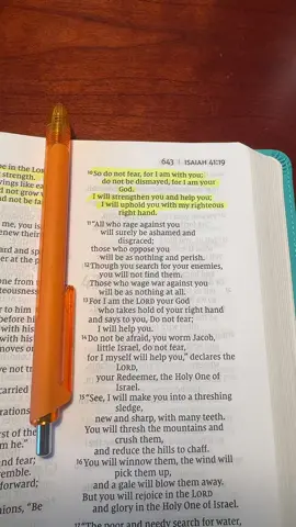 Isaiah 41:10 #verseoftheday #jesus #jesuslovesyou #bibleverse #christiantiktok 