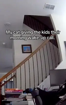 The indoor camera captured my cat calling my kids to come downstairs. No need for an alarm clock here, but we love her.#catsoftiktok #tortie #cat 