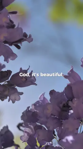 Now this is the worship I like to see  (🎧: And They Were Coworkers by Adrian) 