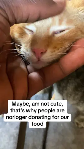 Maybe, am not cute, that's why people are norloger donating for our food