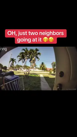 Let’s just say, one ended up very wet! 🥴😂😂😂😂😂😂😂😂 #funny #neighbors 