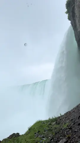 #LIVEIncentiveProgram #LIVEStory #PaidPartnership 