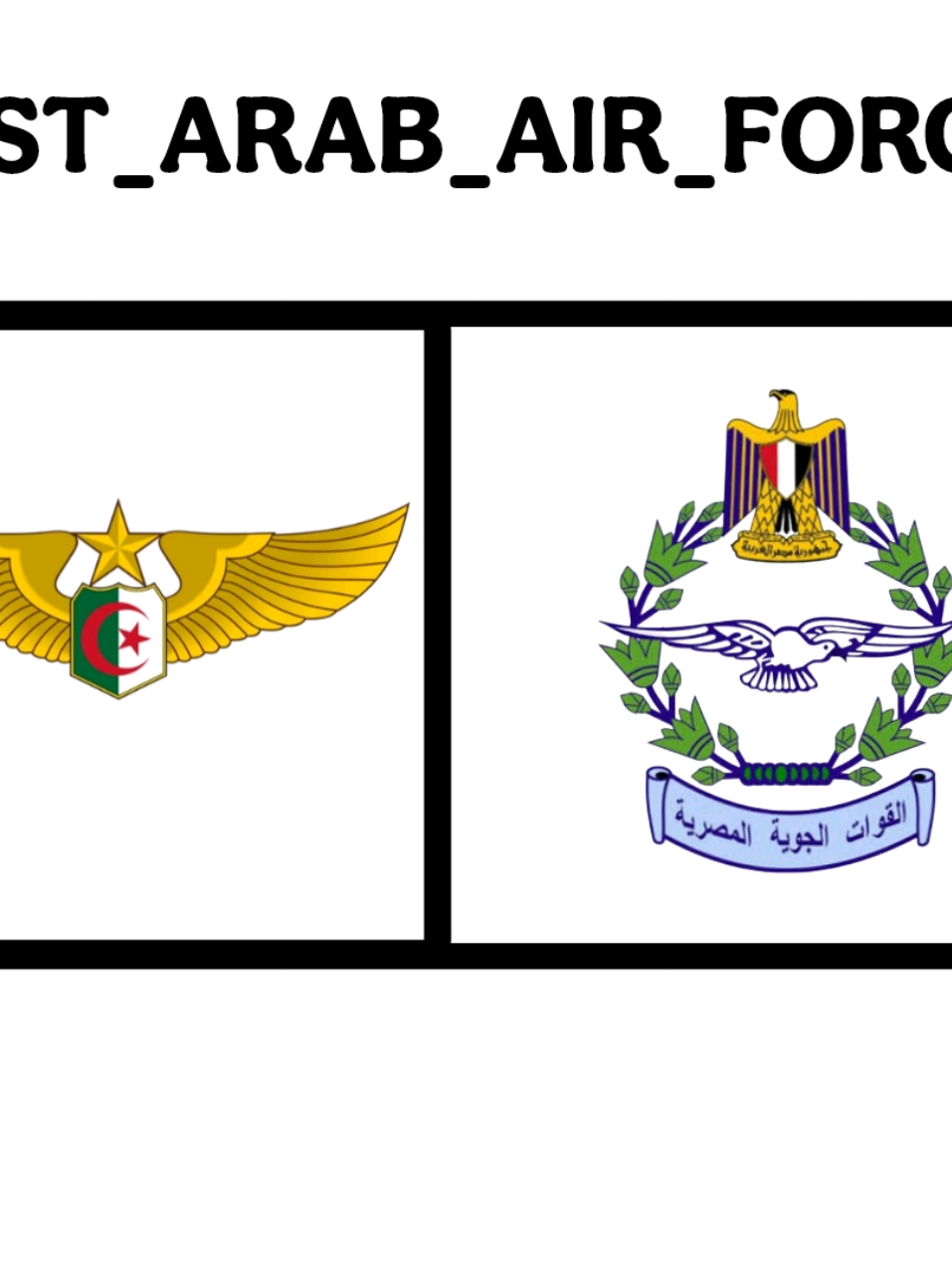 ALGERIA AIR FORCE🇩🇿#algeriamilitary #algeria #egypt #algeriaairforce🦅  #airforce 