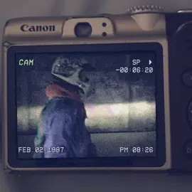 #fypシ゚ #viraltiktok 