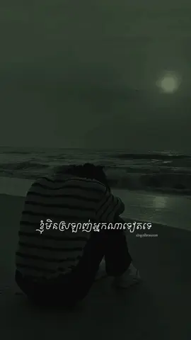 ខ្ញុំមិនអាចស្រឡាញ់អ្នកណាបានទៀតទេ