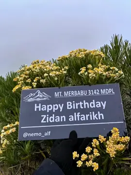 hbd mas Nemo @sebutsajanemo semoga panjang umur sehat selalu murah rezeki dan apa yg di semogakan tercapai amin.  ib punya nya@aisyh_blla22  jangan lupa rame kn VT ini yaaa#gwsmlovers👹 #garudawisnusatriamuda #magelang24jam #fyppppppppppppppppppppppp #fy @ikieka13 