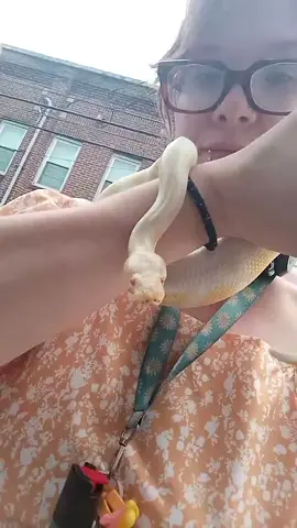 look at the snoot! 