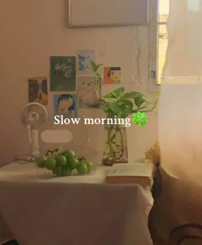 Good morning everyone🍀  #peaceful #digitaldiary #alonetime #minivlogs #shortvideo #weekend #morning #reading #fruit #morningvlog #slowmorning #room #peaceful #Home #beingalone #comfort #fypシ #fyp #foryou #fypage #foryoupage❤️❤️ #introvert