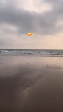 #tiktok #explorepage✨ #trend #viral #😍✨